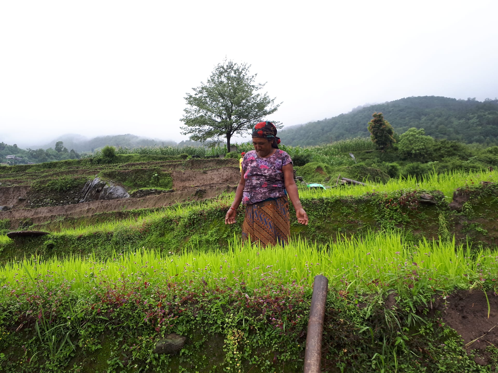 Darjeeling & Sikkim